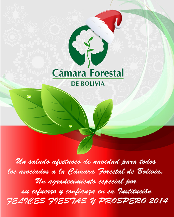 Felices Fiestas 2013